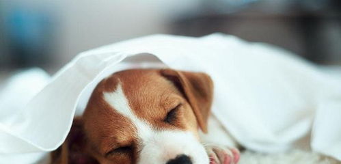 網購要知道避雷, 5類 商品去實體店買更好,不要貪便宜而吃虧